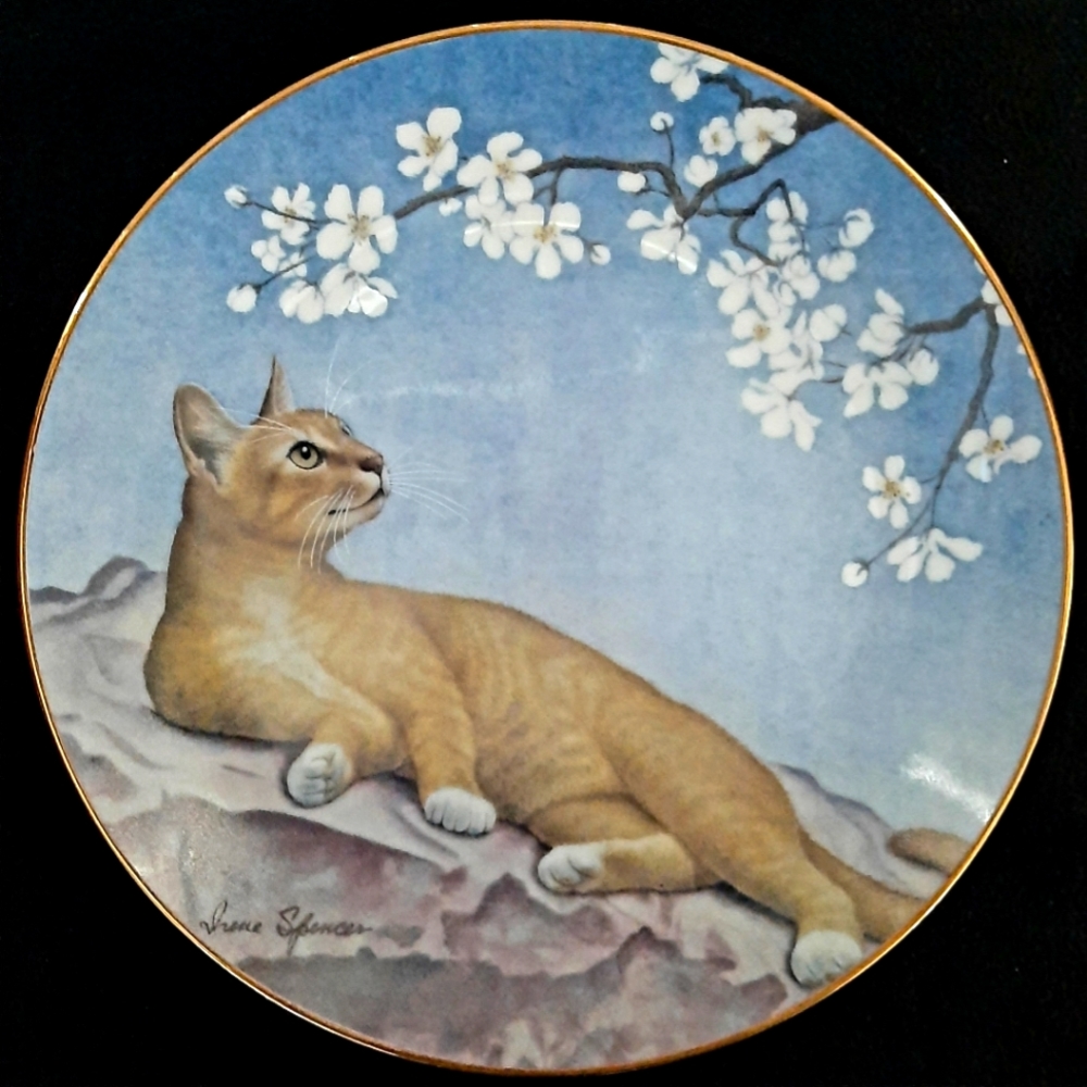 COLLECTABLE Plate "One Day in May"